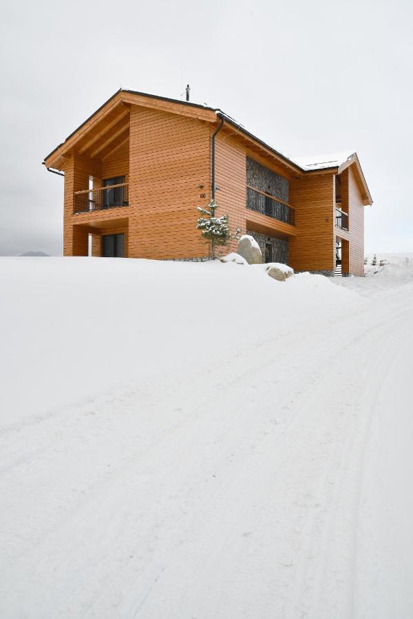 Apartment Tatry Ziarce *